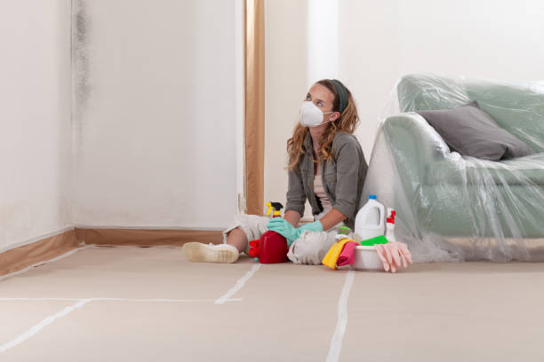 Reliable Mold Remediation contractor in Belmont, MI by WQB Mold Removal